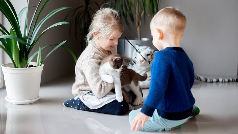 дети играют с кошкой